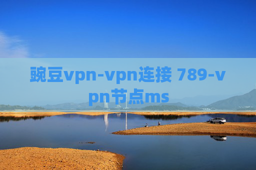 豌豆vpn-vpn连接 789-vpn节点ms