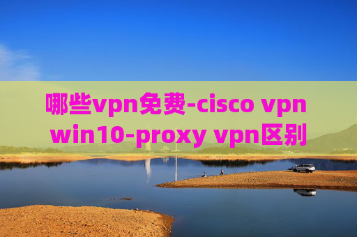 哪些vpn免费-cisco vpn win10-proxy vpn区别