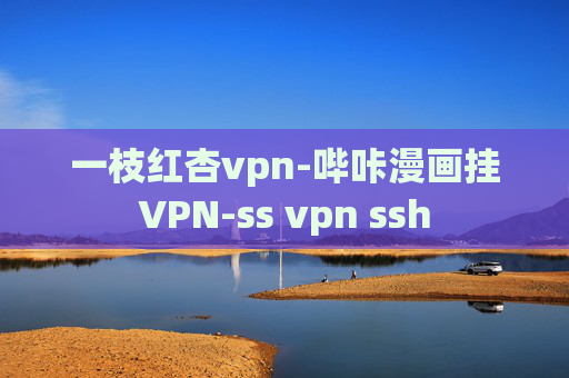 一枝红杏vpn-哔咔漫画挂VPN-ss vpn ssh