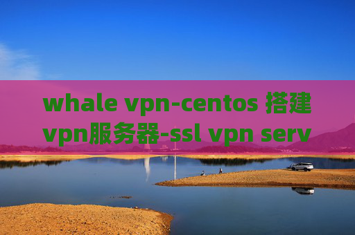 whale vpn-centos 搭建vpn服务器-ssl vpn server