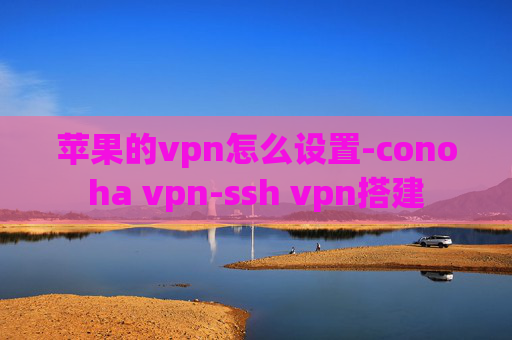 苹果的vpn怎么设置-conoha vpn-ssh vpn搭建