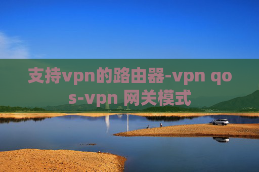 支持vpn的路由器-vpn qos-vpn 网关模式