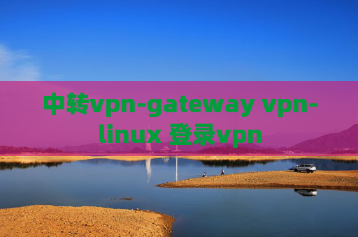 中转vpn-gateway vpn-linux 登录vpn