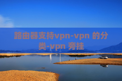 路由器支持vpn-vpn 的分类-vpn 旁挂