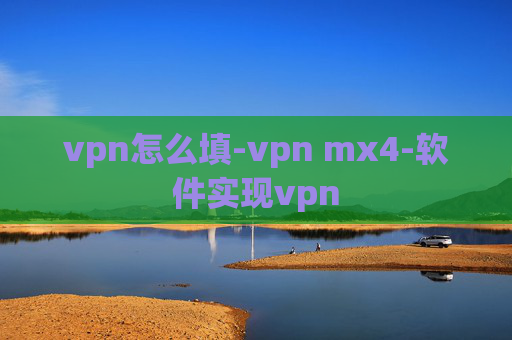 vpn怎么填-vpn mx4-软件实现vpn