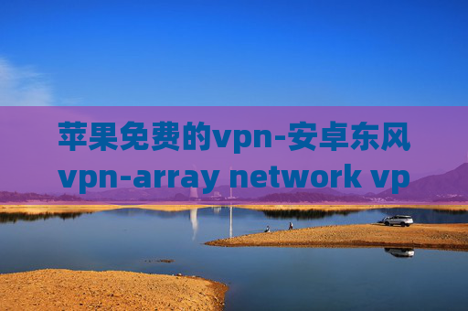 苹果免费的vpn-安卓东风vpn-array network vpn