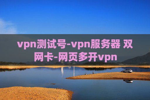 vpn测试号-vpn服务器 双网卡-网页多开vpn