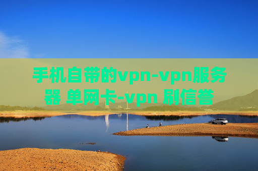 手机自带的vpn-vpn服务器 单网卡-vpn 刷信誉