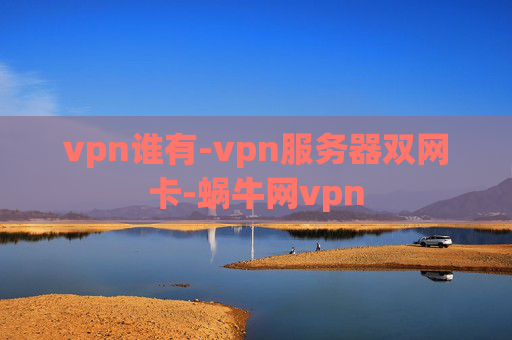 vpn谁有-vpn服务器双网卡-蜗牛网vpn