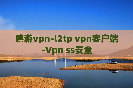 嘻游vpn-l2tp vpn客户端-Vpn ss安全