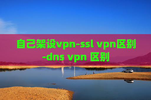 自己架设vpn-ssl vpn区别-dns vpn 区别