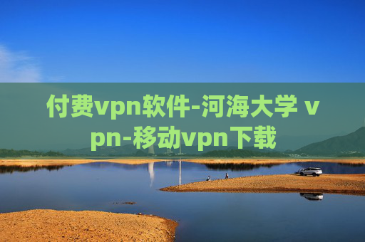 付费vpn软件-河海大学 vpn-移动vpn下载