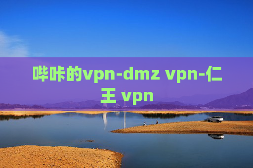 哔咔的vpn-dmz vpn-仁王 vpn