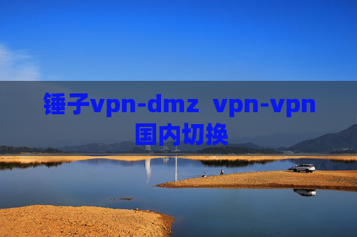 锤子vpn-dmz  vpn-vpn 国内切换