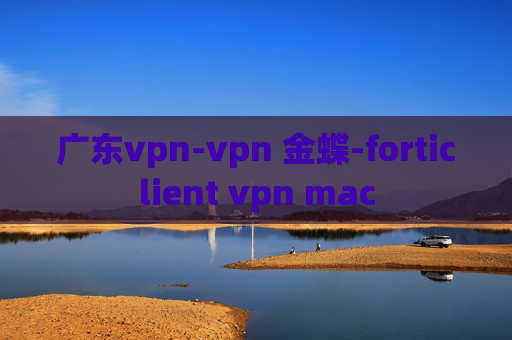 广东vpn-vpn 金蝶-forticlient vpn mac