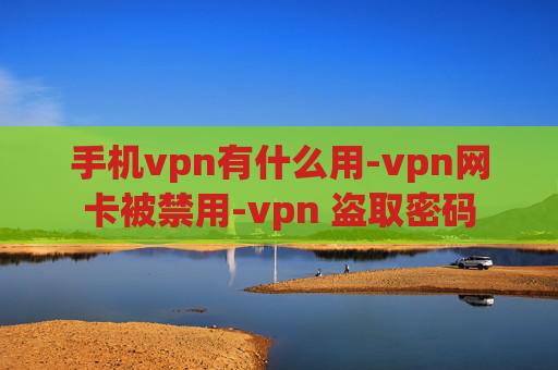 手机vpn有什么用-vpn网卡被禁用-vpn 盗取密码