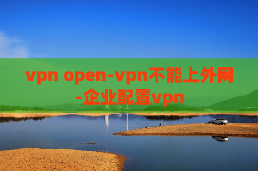 vpn open-vpn不能上外网-企业配置vpn