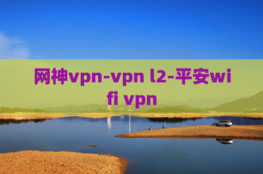 网神vpn-vpn l2-平安wifi vpn