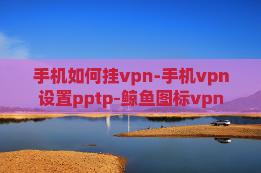 手机如何挂vpn-手机vpn设置pptp-鲸鱼图标vpn