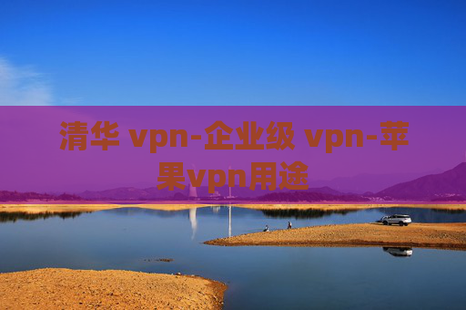 清华 vpn-企业级 vpn-苹果vpn用途