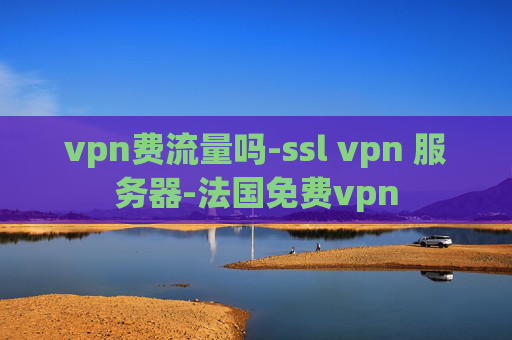 vpn费流量吗-ssl vpn 服务器-法国免费vpn