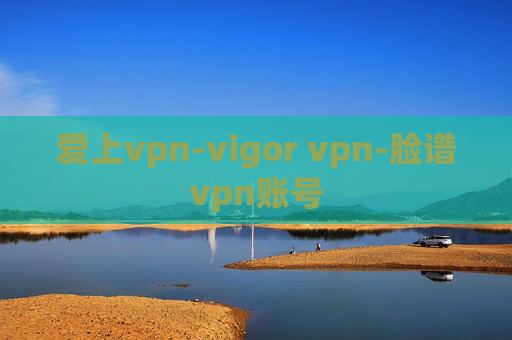 爱上vpn-vigor vpn-脸谱vpn账号