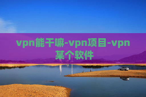 vpn能干嘛-vpn项目-vpn 某个软件