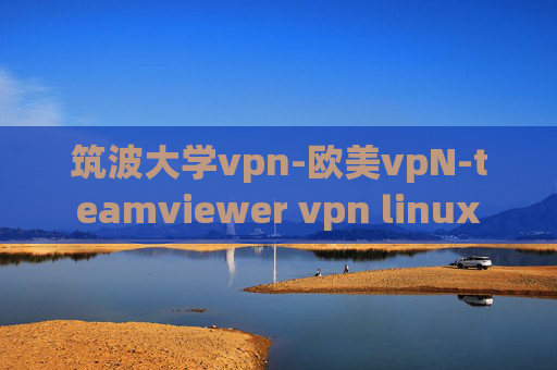 筑波大学vpn-欧美vpN-teamviewer vpn linux