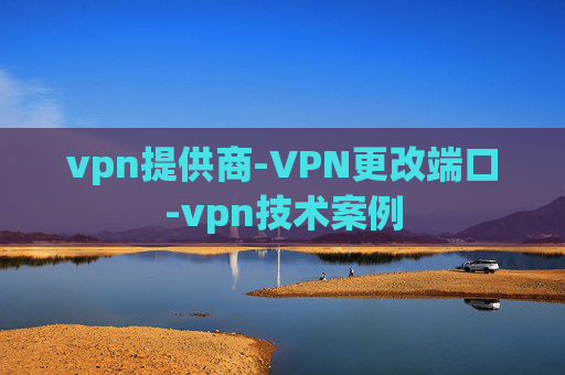 vpn提供商-VPN更改端口-vpn技术案例