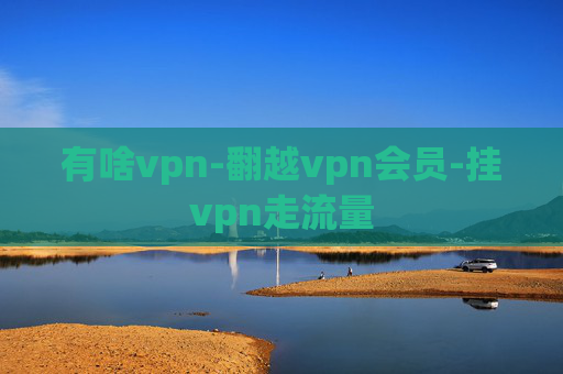 有啥vpn-翻越vpn会员-挂vpn走流量