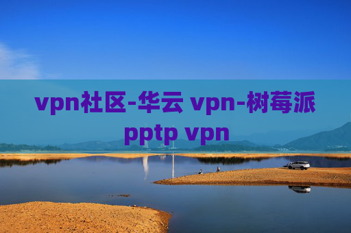 vpn社区-华云 vpn-树莓派pptp vpn