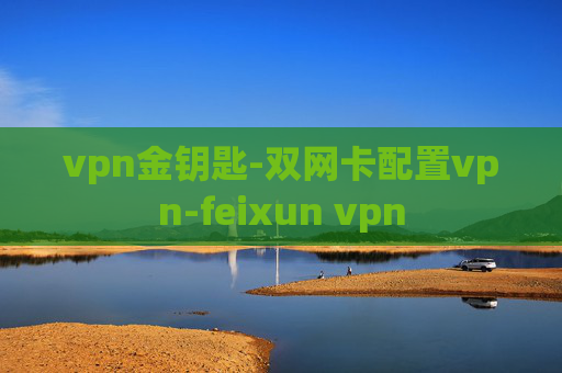 vpn金钥匙-双网卡配置vpn-feixun vpn