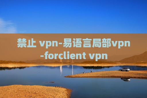 禁止 vpn-易语言局部vpn-forclient vpn