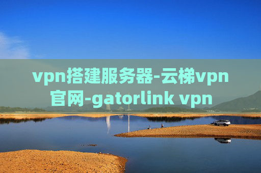 vpn搭建服务器-云梯vpn官网-gatorlink vpn