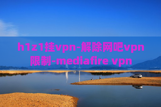 h1z1挂vpn-解除网吧vpn限制-mediafire vpn