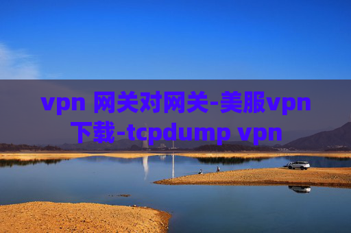 vpn 网关对网关-美服vpn下载-tcpdump vpn