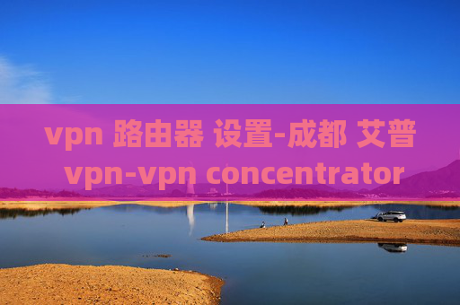 vpn 路由器 设置-成都 艾普 vpn-vpn concentrator