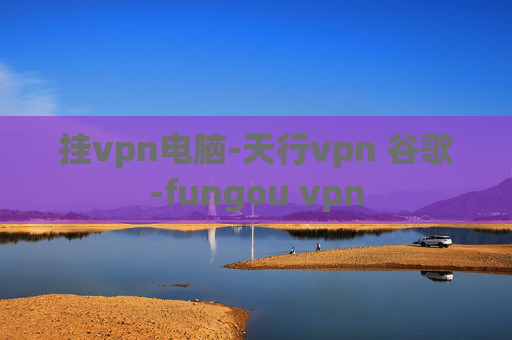 挂vpn电脑-天行vpn 谷歌-fungou vpn