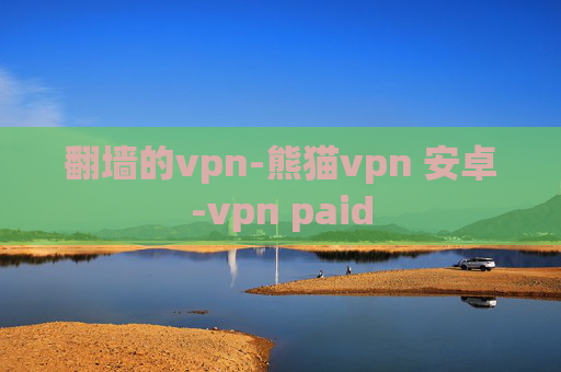 翻墙的vpn-熊猫vpn 安卓-vpn paid