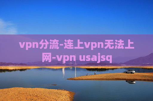 vpn分流-连上vpn无法上网-vpn usajsq