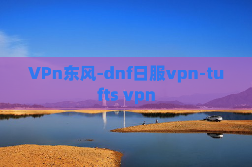 VPn东风-dnf日服vpn-tufts vpn