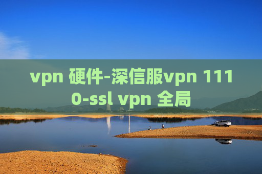 vpn 硬件-深信服vpn 1110-ssl vpn 全局