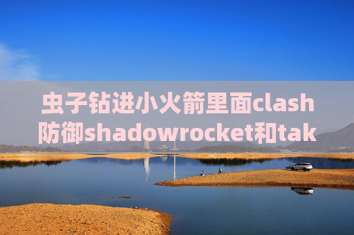 虫子钻进小火箭里面clash防御shadowrocket和take