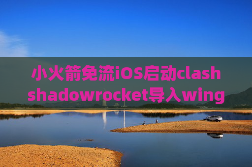 小火箭免流iOS启动clashshadowrocket导入wingy