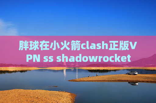 胖球在小火箭clash正版VPN ss shadowrocket