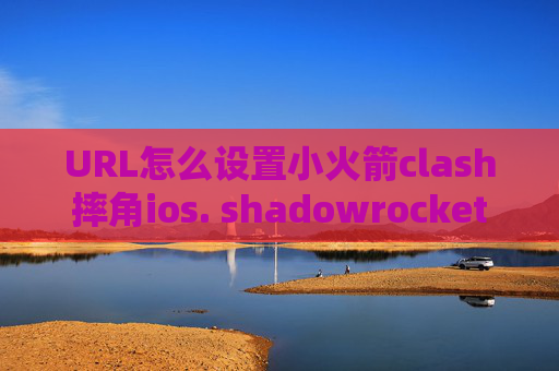 URL怎么设置小火箭clash摔角ios. shadowrocket