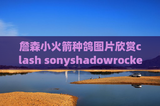 詹森小火箭种鸽图片欣赏clash sonyshadowrocket澳洲节点