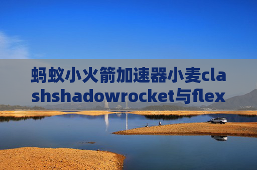 蚂蚁小火箭加速器小麦clashshadowrocket与flex