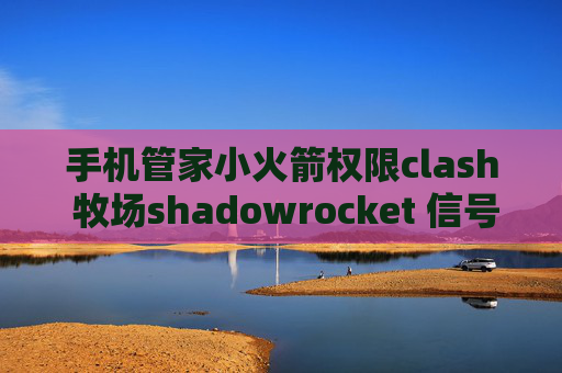 手机管家小火箭权限clash 牧场shadowrocket 信号数据