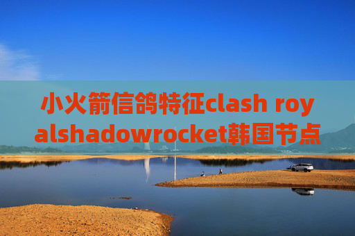 小火箭信鸽特征clash royalshadowrocket韩国节点